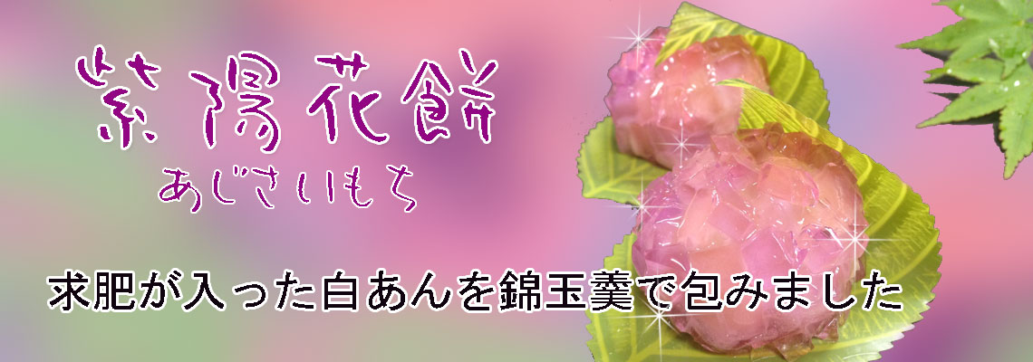 紫陽花